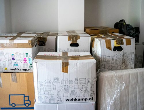 Overstappen naar een andere hoster: zo verhuis je je website zonder downtime